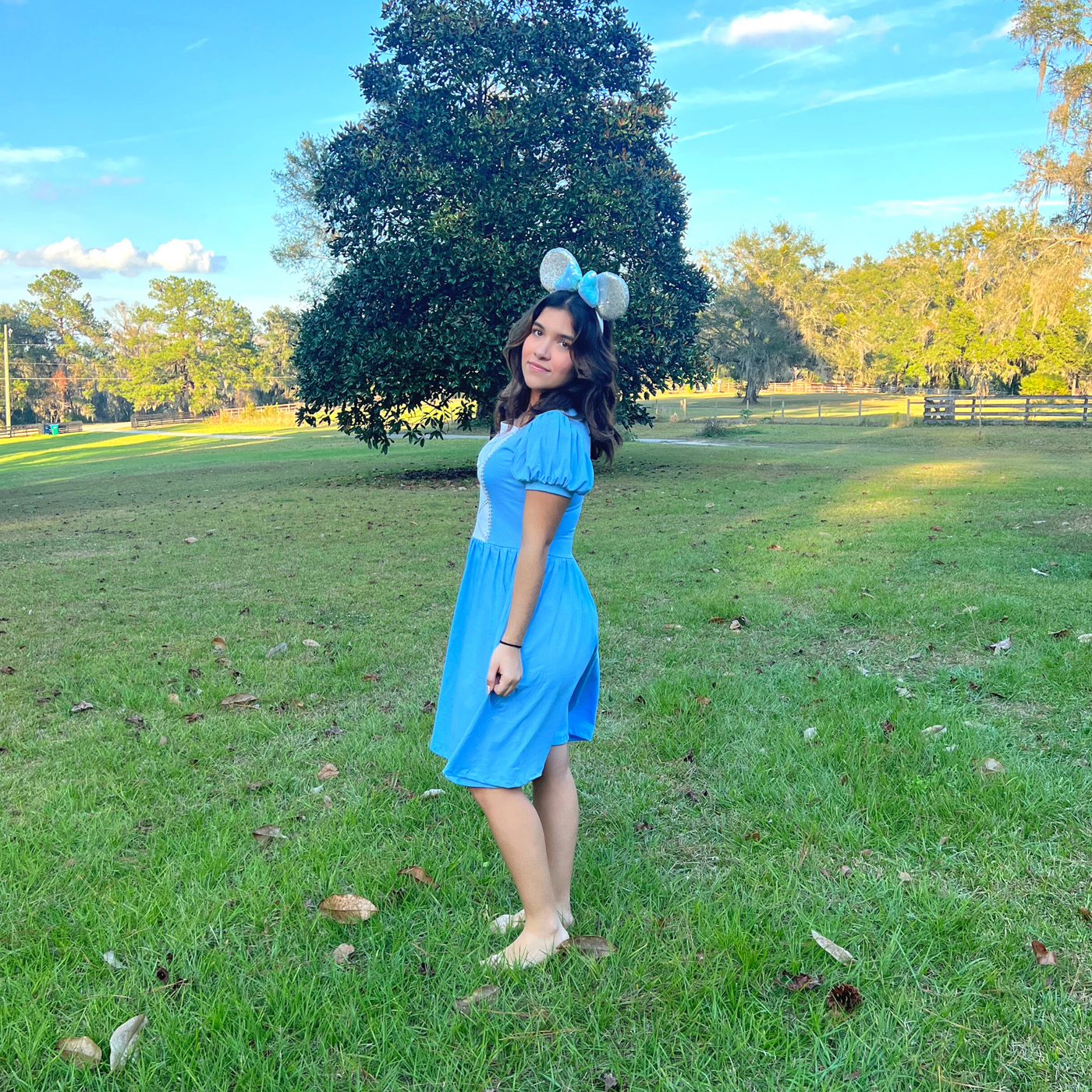 Cinderella adult dress