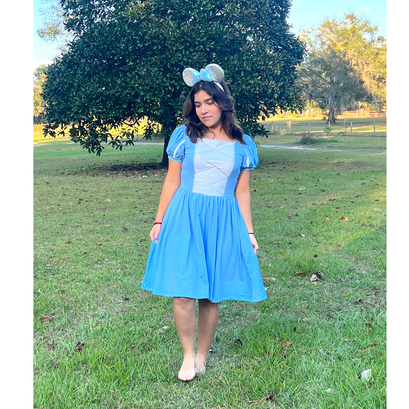 Cinderella adult dress